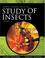 Cover of: Borror and DeLong's Introduction to the Study of Insects