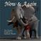 Cover of: Now & Again