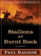 Cover of: Stallions at Burnt Rock: a novel