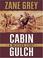 Cover of: Cabin gulch