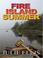 Cover of: Fire Island Summer (Five Star Expressions)