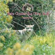 Cover of: Here Comes The Grey Wolf (Animals of the Americas) by Emma Romeu