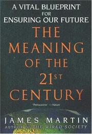Cover of: The Meaning of the 21st Century: A Vital Blueprint for Ensuring Our Future