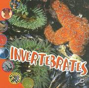 Cover of: Invertebrates | Ted O