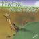 Cover of: Praying mantises