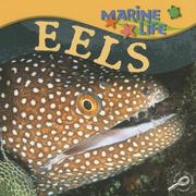 Cover of: Eels by Lynn M. Stone