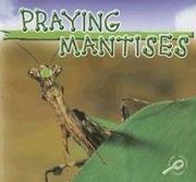 Cover of: Praying Mantises (Insects)