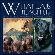 Cover of: What Labs Teach Us: Life's Lessons Learned from Labrador Retievers