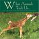 Cover of: What Animals Teach Us