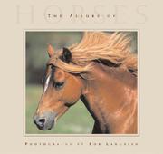 Cover of: The Allure Of Horses