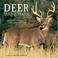 Cover of: Deer Tails & Trails