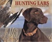 Book cover: Hunting Labs 2008 Calendar | Dale Spartas