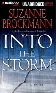 Cover of: Into the Storm: A Novel (Troubleshooters)