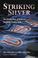 Cover of: Striking silver