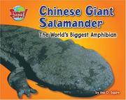 Cover of: Chinese Giant Salamander: The World's Biggest Amphibian (Supersized!)