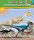 Cover of: Amazing Dinosaur Facts (I Love Reading: Dino World)