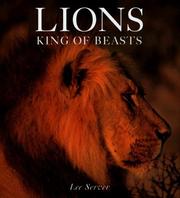 Cover of: Lions | Lee Server