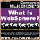 Cover of: What is WebSphere? Java, J2EE, Portal and Beyond! (Demystifying IBM's Middle Tier Technology)