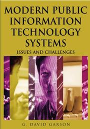 Cover of: Modern Public Information Technology Systems: Issues and Challenges