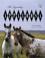 Cover of: The Legendary Appaloosa