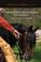 Cover of: Natural Horsemanship Explained