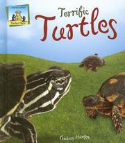 Cover of: Terrific Turtles (Perfect Pets)