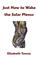 Cover of: Just How to Wake the Solar Plexus