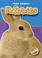 Cover of: Rabbits