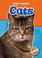 Cover of: Cats