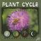 Cover of: Plant Cycle (Nature's Cycles)