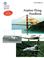 Cover of: Airplane Flying Handbook