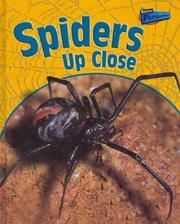 Cover of: Spiders Up Close (Perspectives)