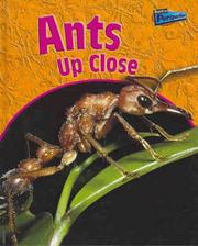 Cover of: Ants Up Close (Perspectives)