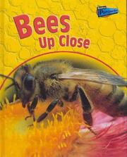 Cover of: Bees Up Close (Perspectives)