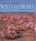 Cover of: Southern African wild flowers