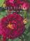 Cover of: A Passion for Roses (Mitchell Beazley Gardening)