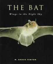 Cover of: Bat Wings In the Night Sky
