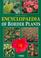 Cover of: Encyclopaedia of border plants