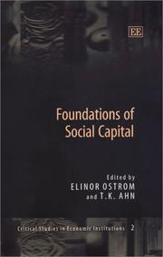 Cover of: Foundations of social capital