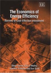 Cover of: The Economics Of Energy Efficiency by Eoin O'Malley, Joachim Schleich, Sue Scott