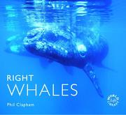 Right Whales (Worldlife Library) by Phil Clapham