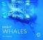 Cover of: Right Whales (Worldlife Library)