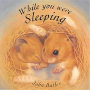 Cover of: While You Were Sleeping (Little Orchard Board Book) by John Butler