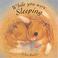 Cover of: While You Were Sleeping (Little Orchard Board Book)