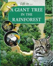 Cover of: Giant Tree in the Rainforest (Life In....) by Sally Morgan