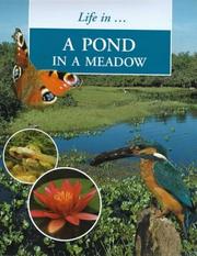 Cover of: Pond in the Meadow (Life In....) by Sally Morgan