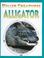 Cover of: Alligator (Killer Creatures)