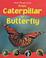 Cover of: From Caterpillar to Butterfly (How Things Grow)