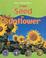 Cover of: From Seed to Sunflower (How Things Grow)