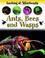 Cover of: Ants, Bees and Wasps (Looking at Minibeasts)